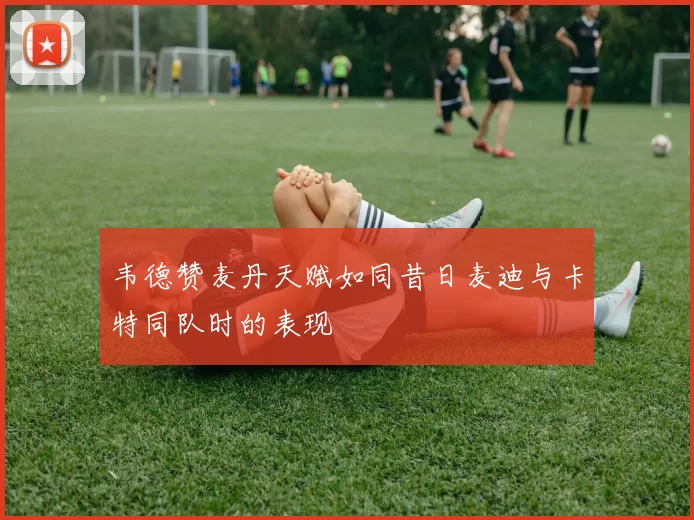 韦德赞麦丹天赋如同昔日麦迪与卡特同队时的表现